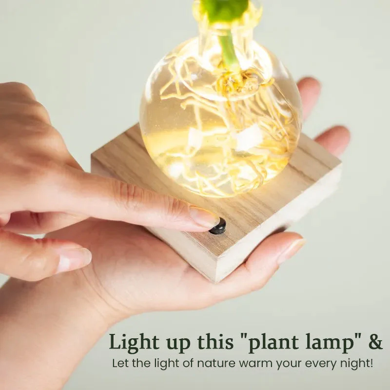 LED Hydroponic Plant Vase（The set includes 1 LED base + 1 vase） - Image 7
